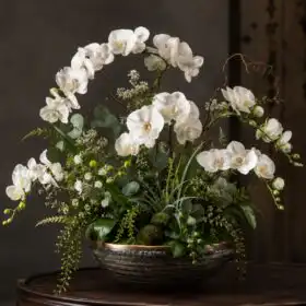 Elegant White Moth Orchid in Gold Pot