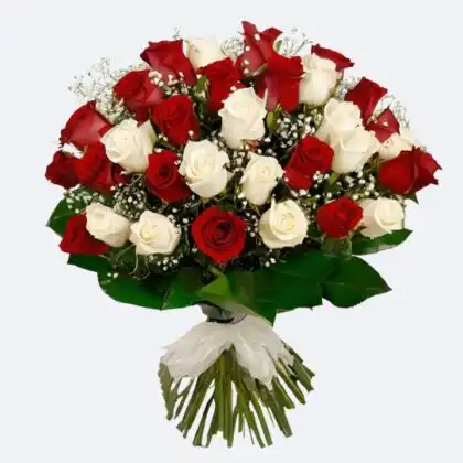 A fresh white and red rose flower bouquet with green leaves and baby's breath on a clean white background.