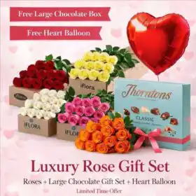 Rose Gift Set with 12 Premium Roses, Free Chocolate & Balloons